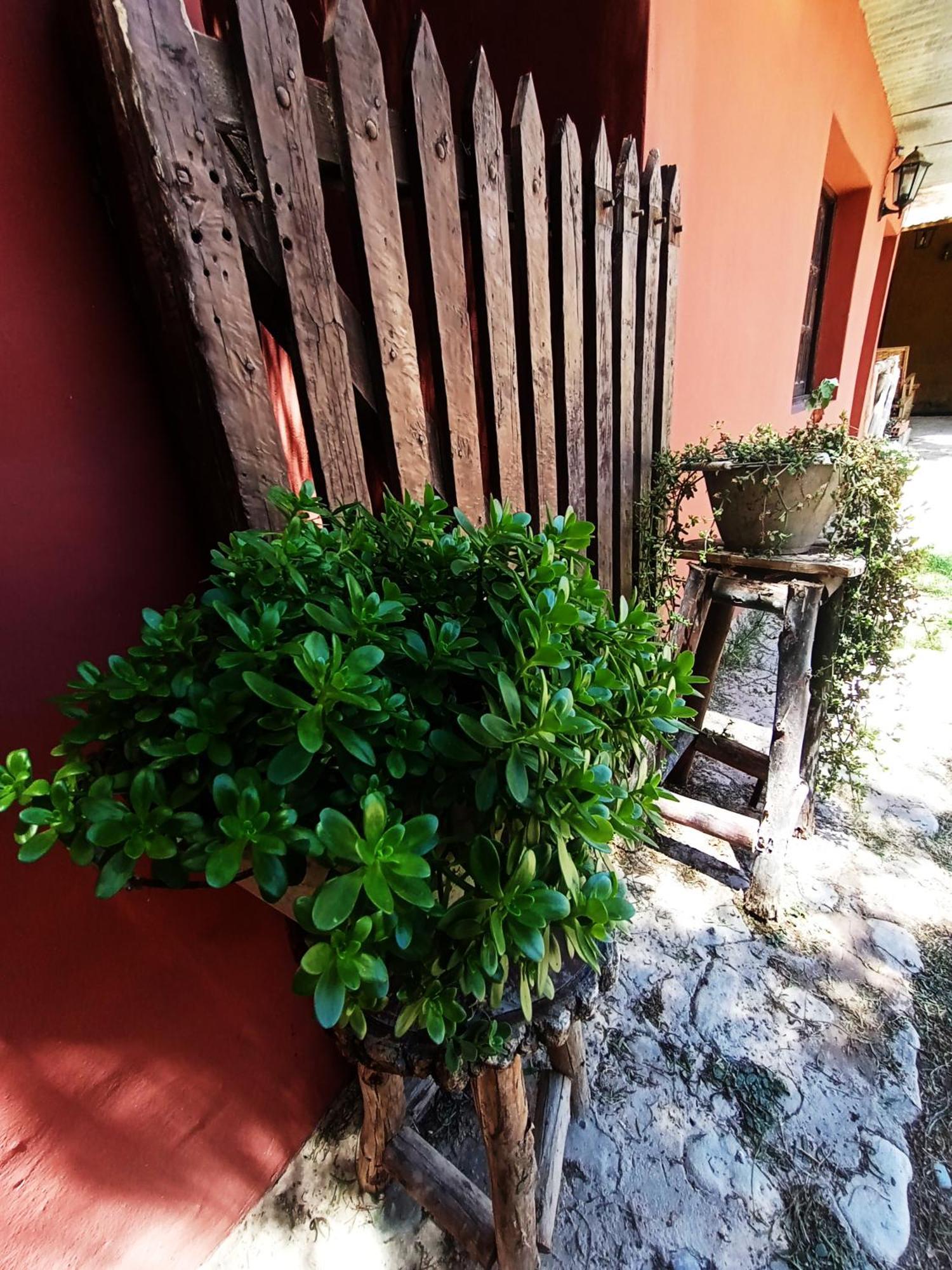 Hostal La Albahaca Tilcara Luaran gambar